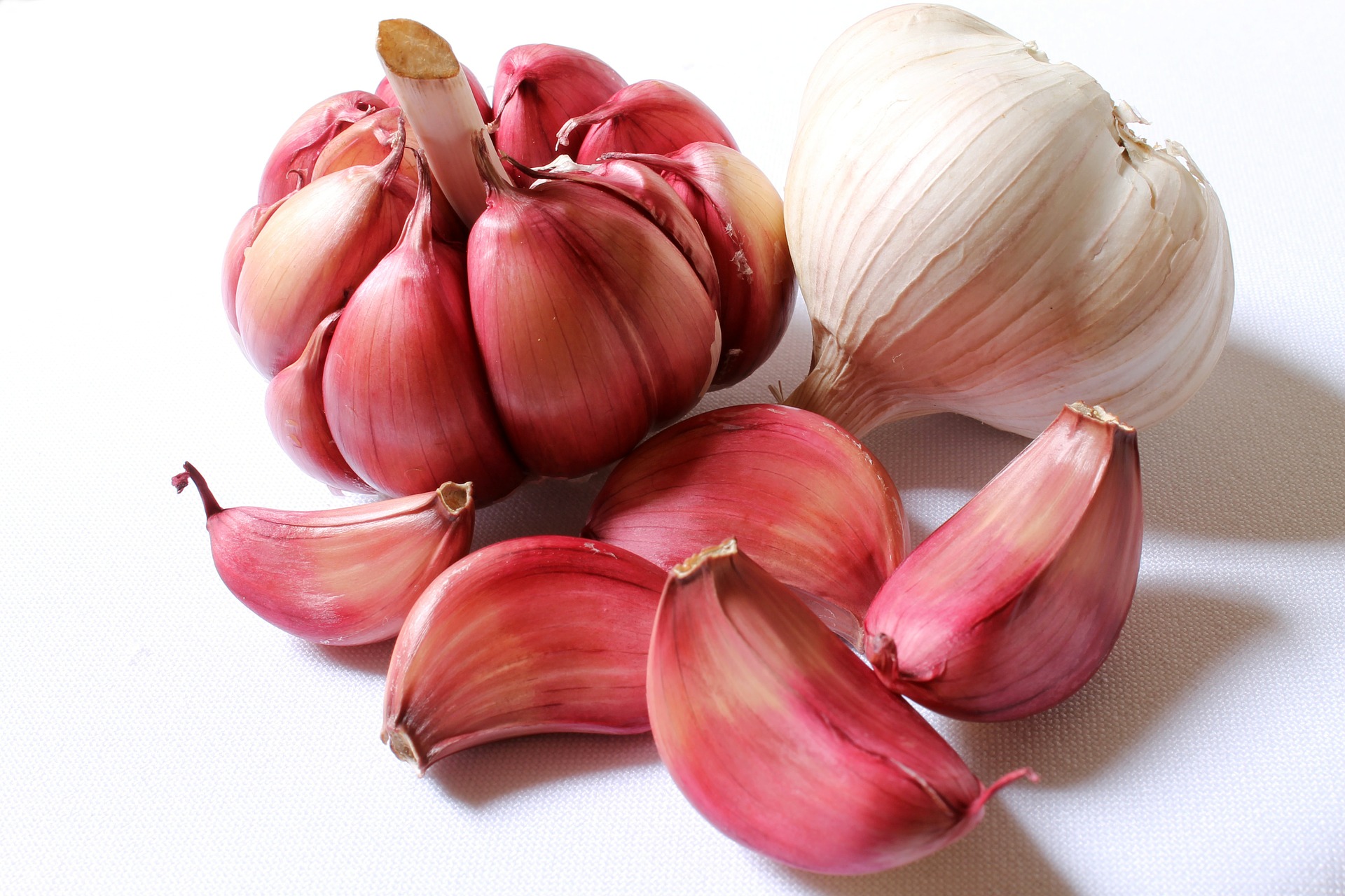 Top 10 Supplements and Vitamins Review for Men and Women garlic-618400_1920